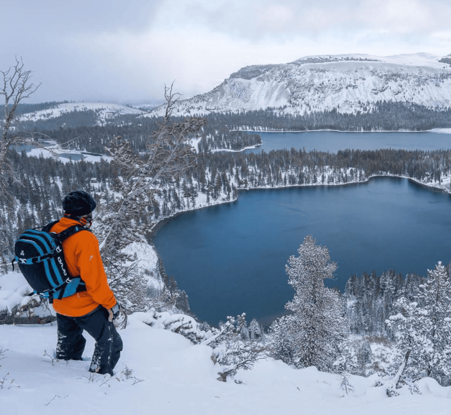 Captura de Pantalla 2025-04-02 a las 10.47.51 a.m.-copy-0