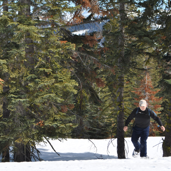ROCKY MOUNTAINS (600 x 600 px) (600 x 800 px) (600 x 600 px) (2)
