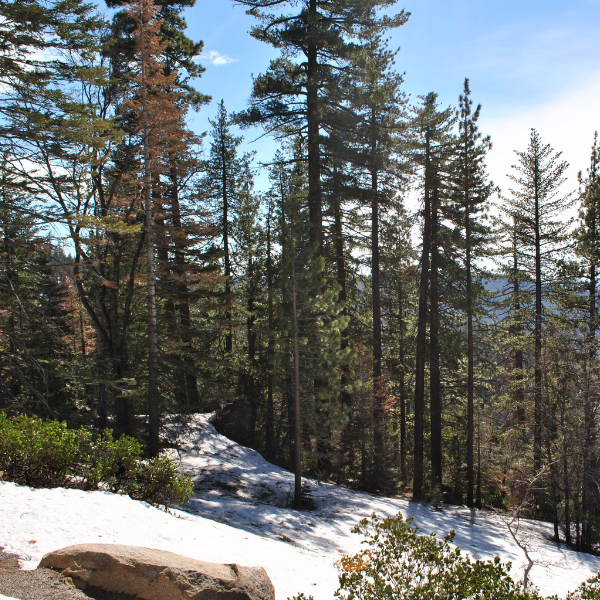 ROCKY MOUNTAINS (600 x 600 px) (600 x 800 px) (600 x 600 px) (6)